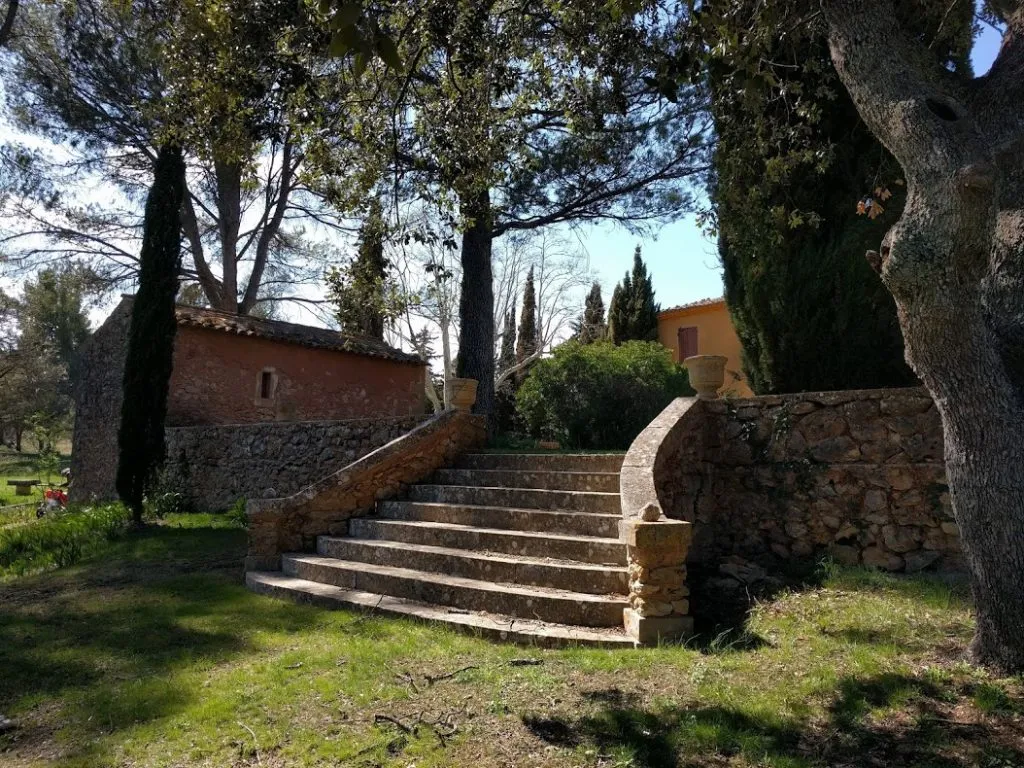 Vue du grand escalier d’accès à la terrasse, 2018. Vue du grand escalier d’accès à la terrasse, 2018.